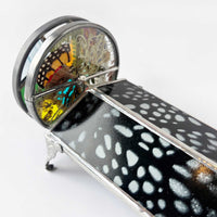 Naturescape Seeing Stars Kscope - Petroff Gallery - Kaleidoscopes