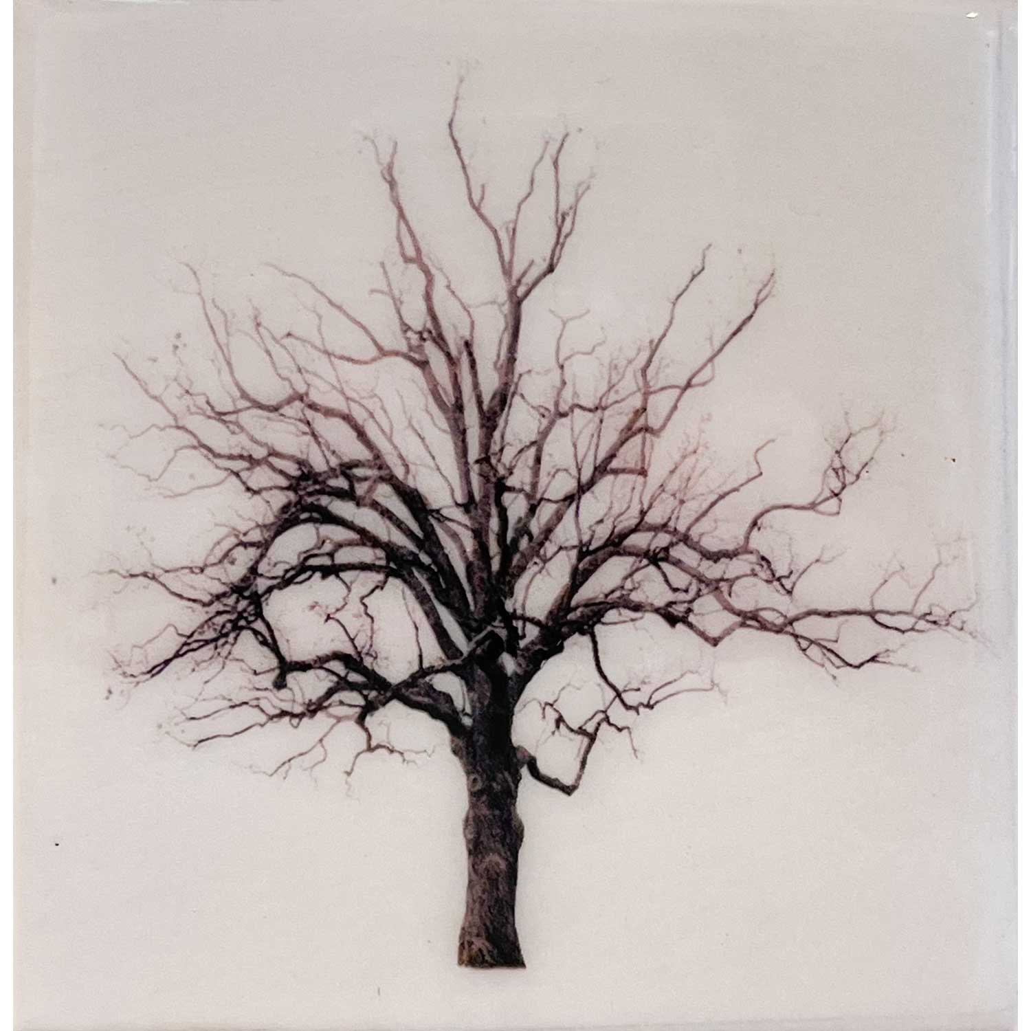 Oakville 4" x 4" - Petroff Gallery -  - Michael Toole - Oakville, 4" x 4"