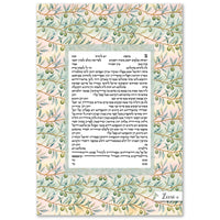 Olive Branches - Petroff Gallery -  - Zeesi Paltrowitz - Olive branches ketubah
