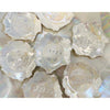 Opalescent Seder Plate - Petroff Gallery -  - Marla Buck - Opalescent Seder Plate, 13" dia.