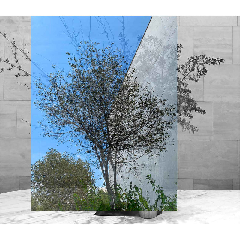 Opening II 26" x 30" - Petroff Gallery - Photography