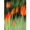 Orange on Green #42 44" x 32" - Other Editions Available - Petroff Gallery -  - Warren Grossman- Orange on Green