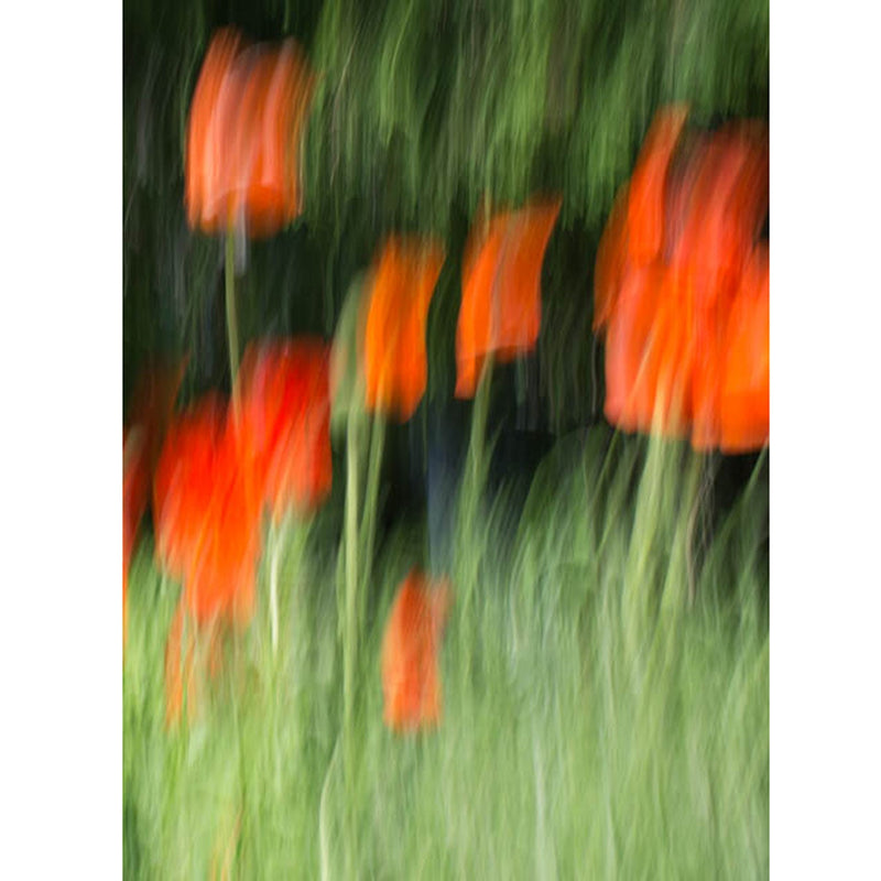 Orange on Green #42 44" x 32" - Other Editions Available - Petroff Gallery -  - Warren Grossman- Orange on Green