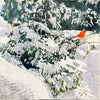 Overnight Snowfall with Wintering Cardinal 16" x 16" Petroff Gallery 