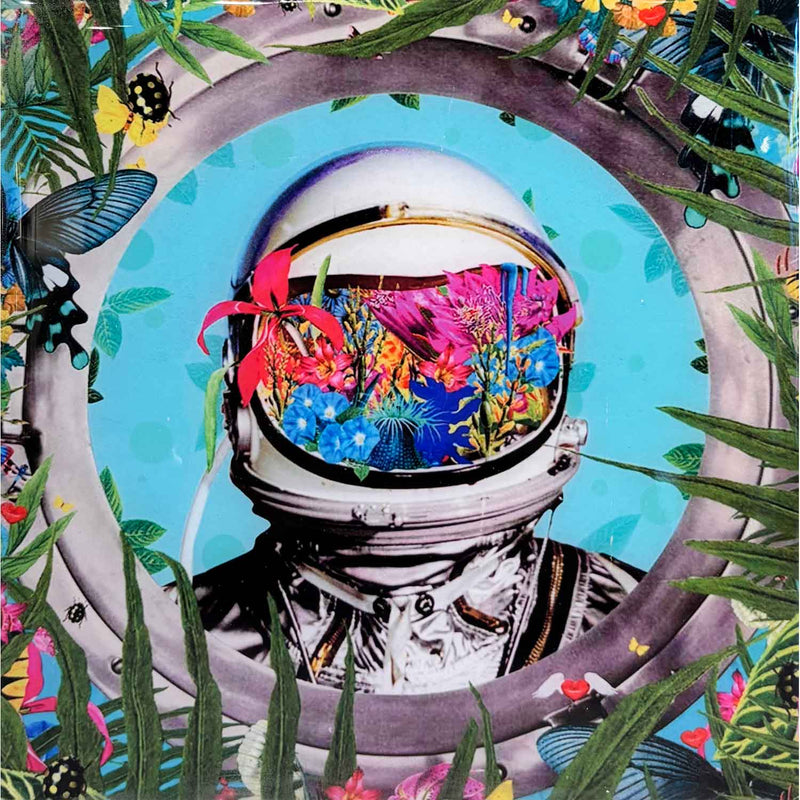Paradise Astro 6" x 6" - Petroff Gallery - Photography