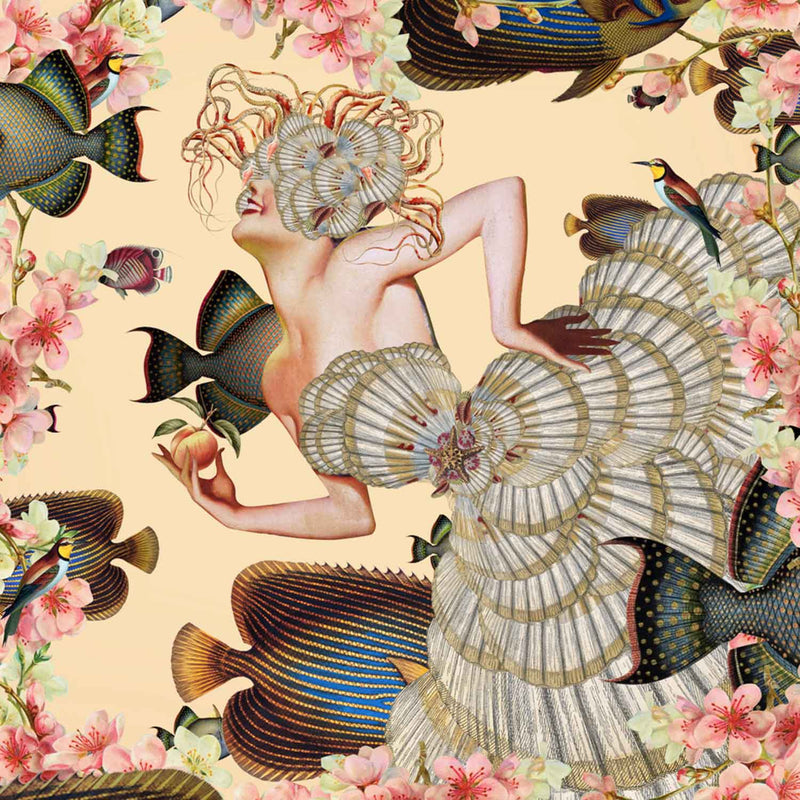 Peachy Siren 8" x 8" - Petroff Gallery - Photography