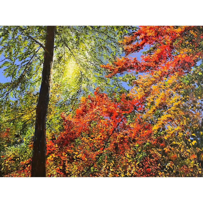 Peeking Through 36" x 48" - Petroff Gallery -  - Jamie MacLean - Peeking Through, 36" x 48"