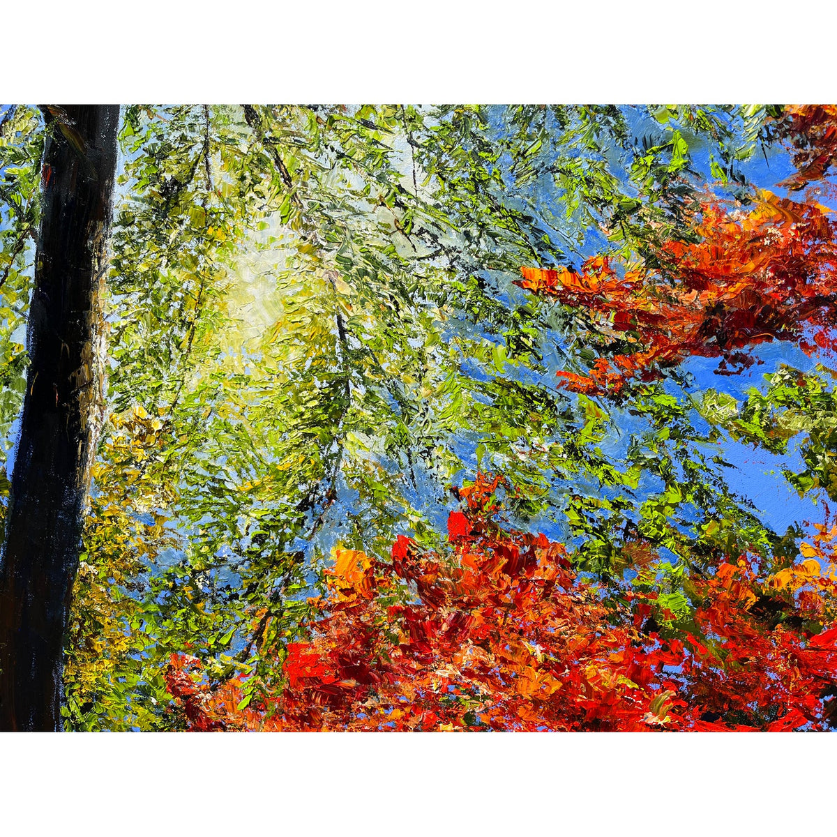Peeking Through 36" x 48" - Petroff Gallery -  - Jamie MacLean - Peeking Through, 36" x 48"