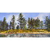 Peninsula 24" x 48" - Petroff Gallery - Painting