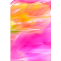 Pink on Yellow #3 63" x 42" - Other Editions Available - Petroff Gallery -  - Warren Grossman - Pink on Yellow #3