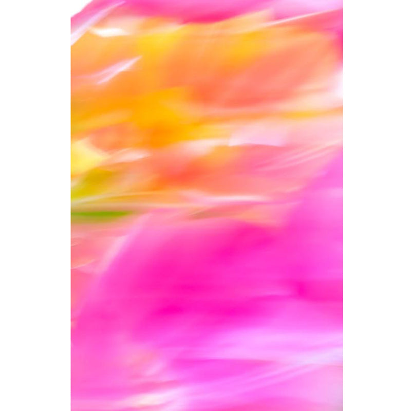 Pink on Yellow #3 63" x 42" - Other Editions Available - Petroff Gallery -  - Warren Grossman - Pink on Yellow #3
