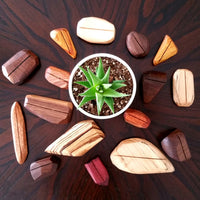 Placecard Holders - Set of 8 - Petroff Gallery