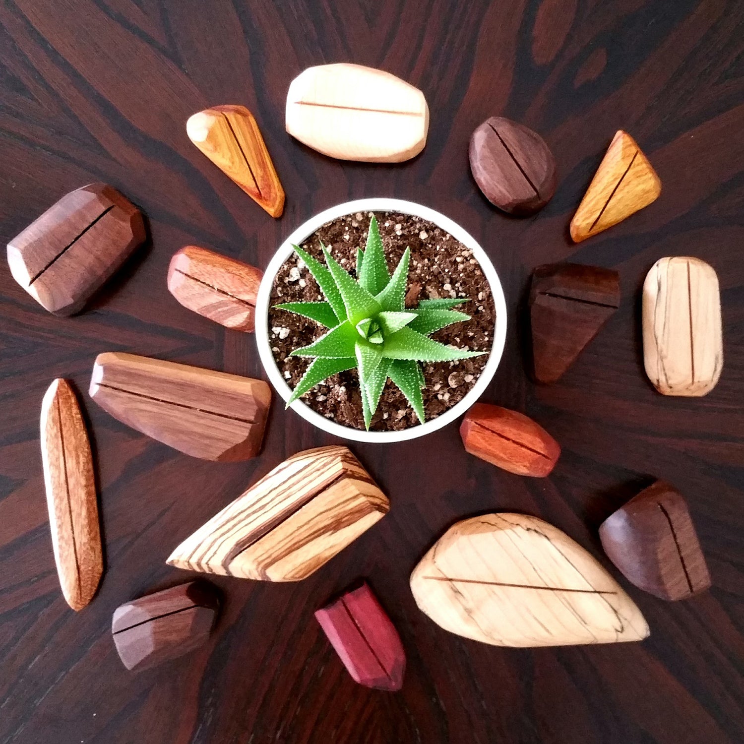 Placecard Holders - Set of 8 - Petroff Gallery