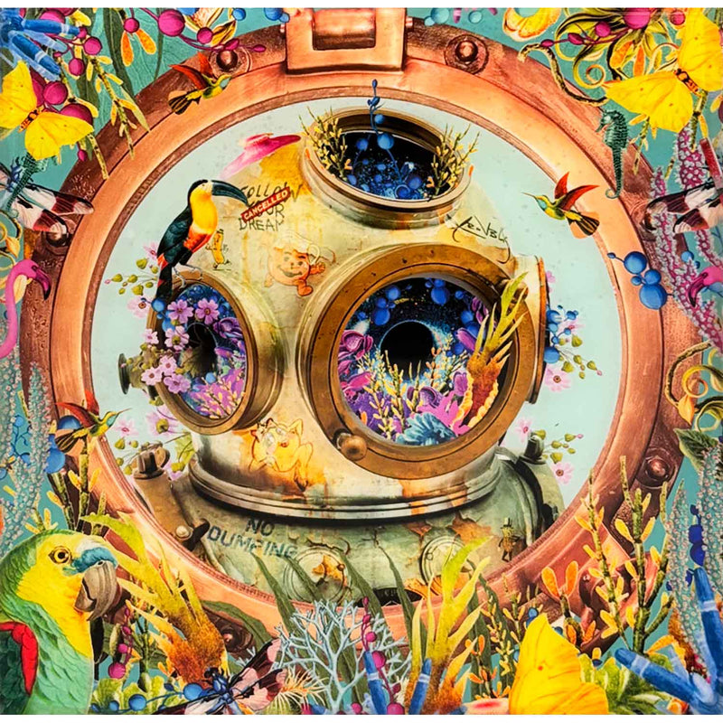 Portholes II: Tropical Breeze 6" x 6" - Petroff Gallery - Photography