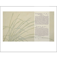 Prana - Petroff Gallery