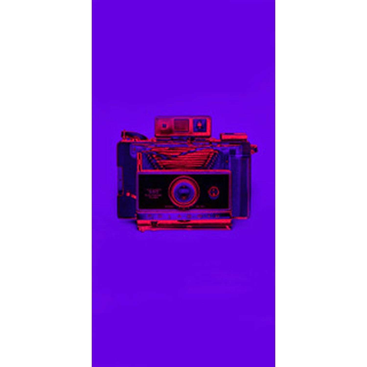 Purpleroid 20"x10" - Petroff Gallery -  - Jeff Turner - Purpleroid, 20" x 10"