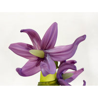 Large Sprig Vase Lime with Purples Lilies - Petroff Gallery - Glass art