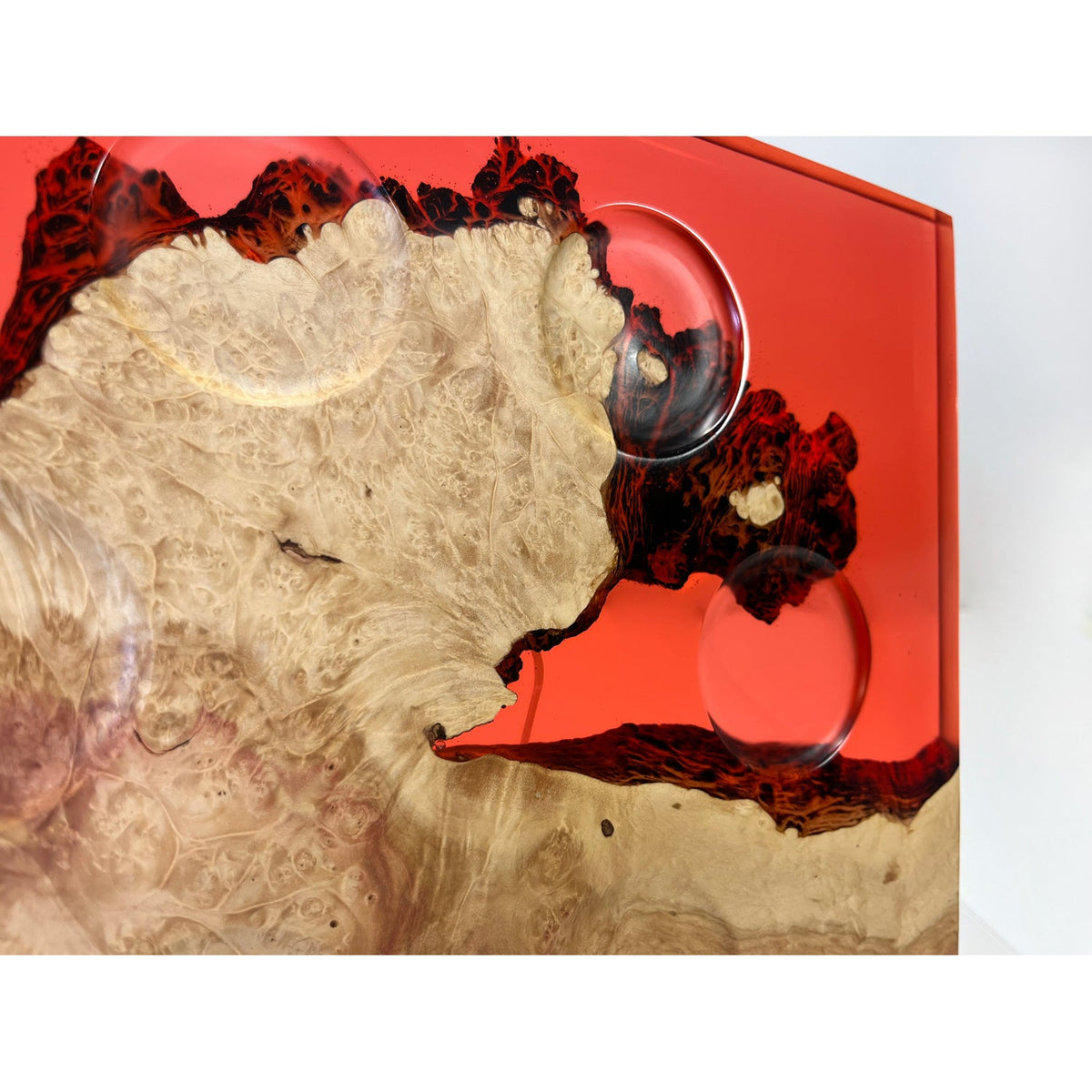 Red Resin Wood Seder Plate - Petroff Gallery -  - Marie Levine - Red Resin Wood Seder Plate, 13" x 11.5"