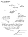 Reflections of the Heart - Petroff Gallery -  - 