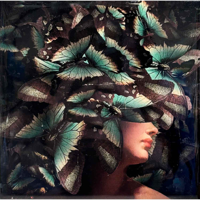 Reign of Butterflies 6" x 6" - Petroff Gallery - Photography