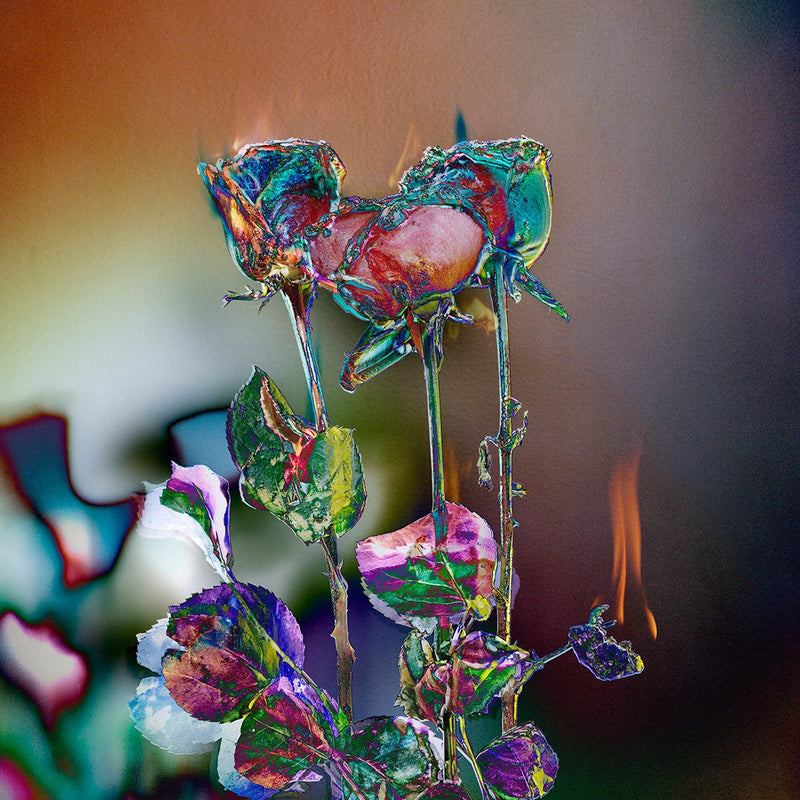 Remix 6 - Petroff Gallery