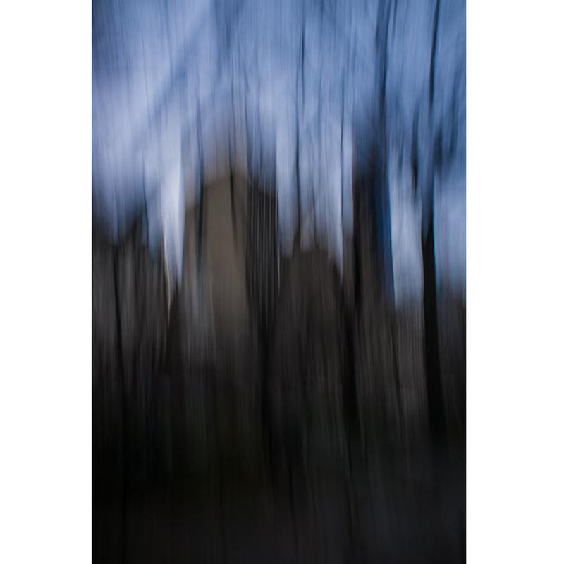 Skyline #1 63" x 42" - Petroff Gallery -  - Warren Grossman - Skyline #1