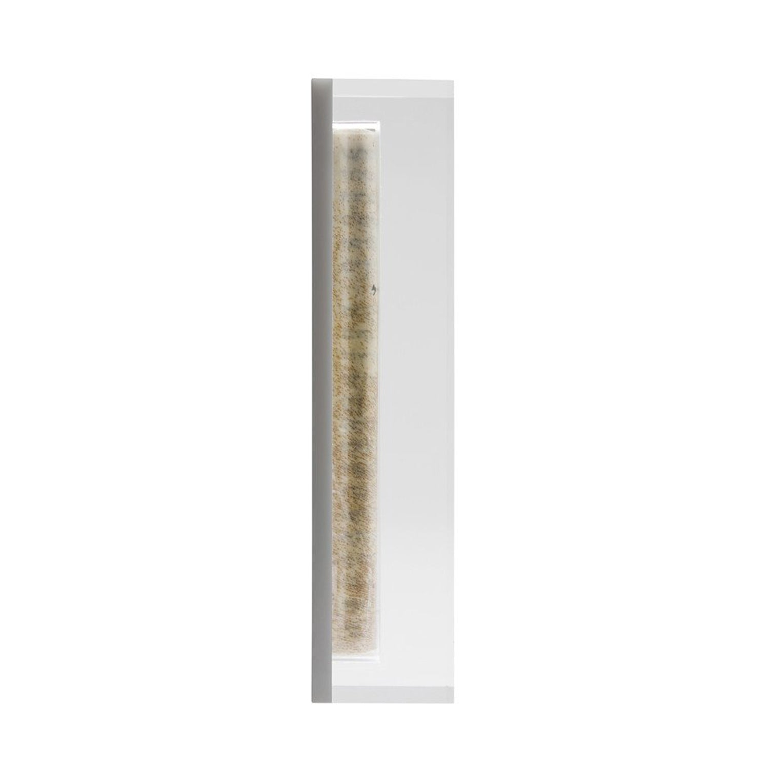 Sm Mezuzah Grey - Petroff Gallery -  - Gabriela & Daniela Apeloig - Sm Mezuzah Grey