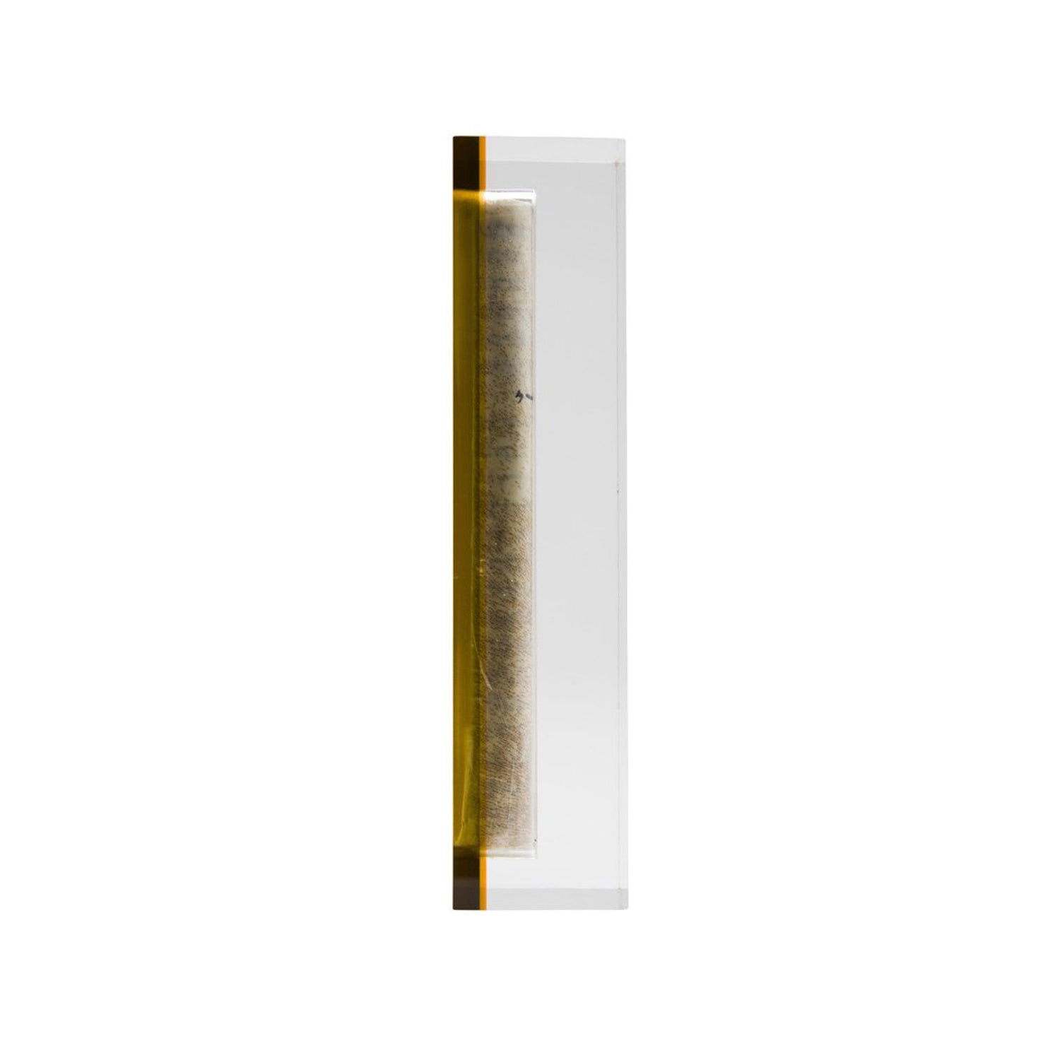 Sm Mezuzah Honey - Petroff Gallery -  - Gabriela & Daniela Apeloig - Sm Mezuzah Honey