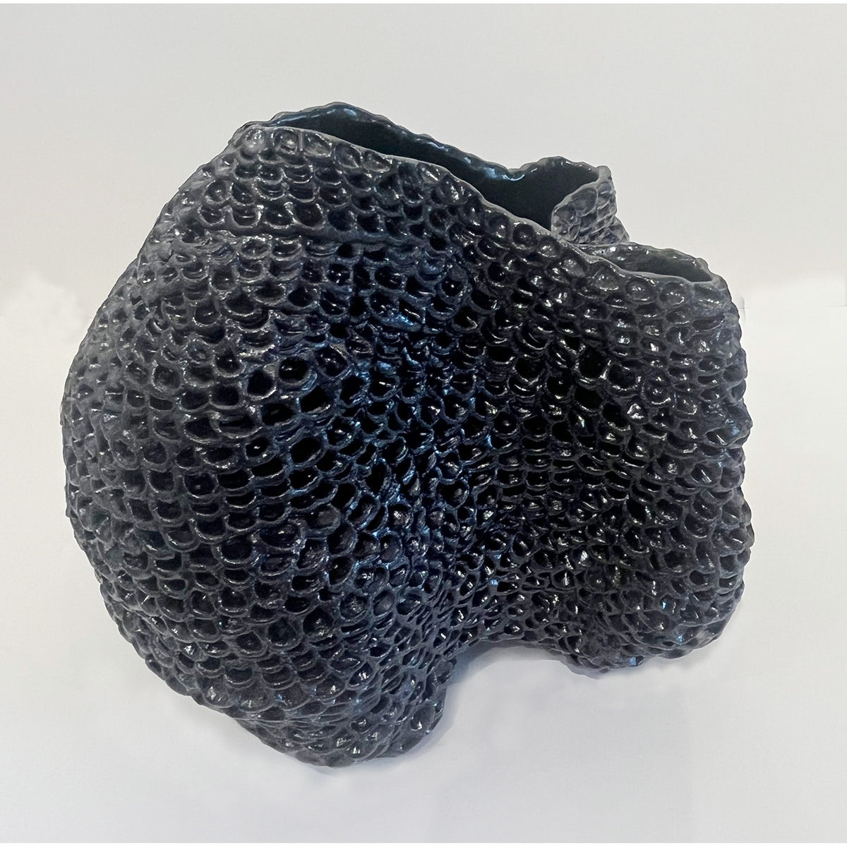 Small Black Coil Form 10"x9.5"x7.5"