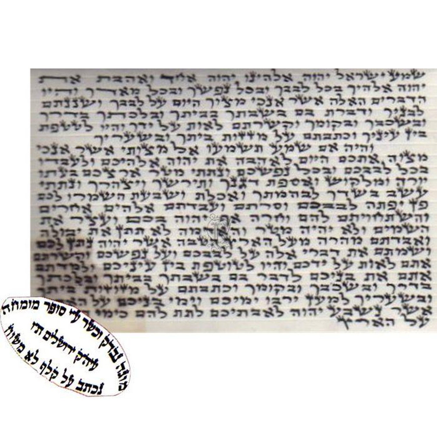Small Kosher Scroll - Petroff Gallery -  - Klein Brothers - Kosher Scroll