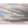 South Shore 40" x 48" - Petroff Gallery - Painting