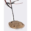 Strong and Free - Petroff Gallery - Sculpture