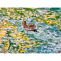 Summer Water Dazzle with Mallards 24" x 24" - Petroff Gallery - Painting