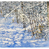 Sunspeckled Trail After An Overnight Snowfall 30" x 32" Petroff Gallery 