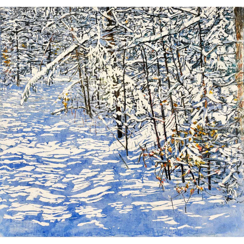 Sunspeckled Trail After An Overnight Snowfall 30" x 32" Petroff Gallery 