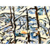 Sunspeckled Trail After An Overnight Snowfall 30" x 32" Petroff Gallery 