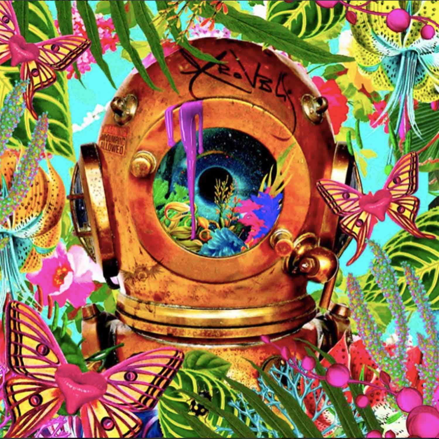 Tainted Paradise Diver 10" x 10" - Petroff Gallery - Photography