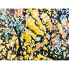 Tamarack Pond 38" x 22" Petroff Gallery 