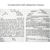 The Golden Light - Petroff Gallery -  - Anna Kronick - Conservative with Lieberman Clause Text