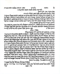 The Land of Israel - Petroff Gallery