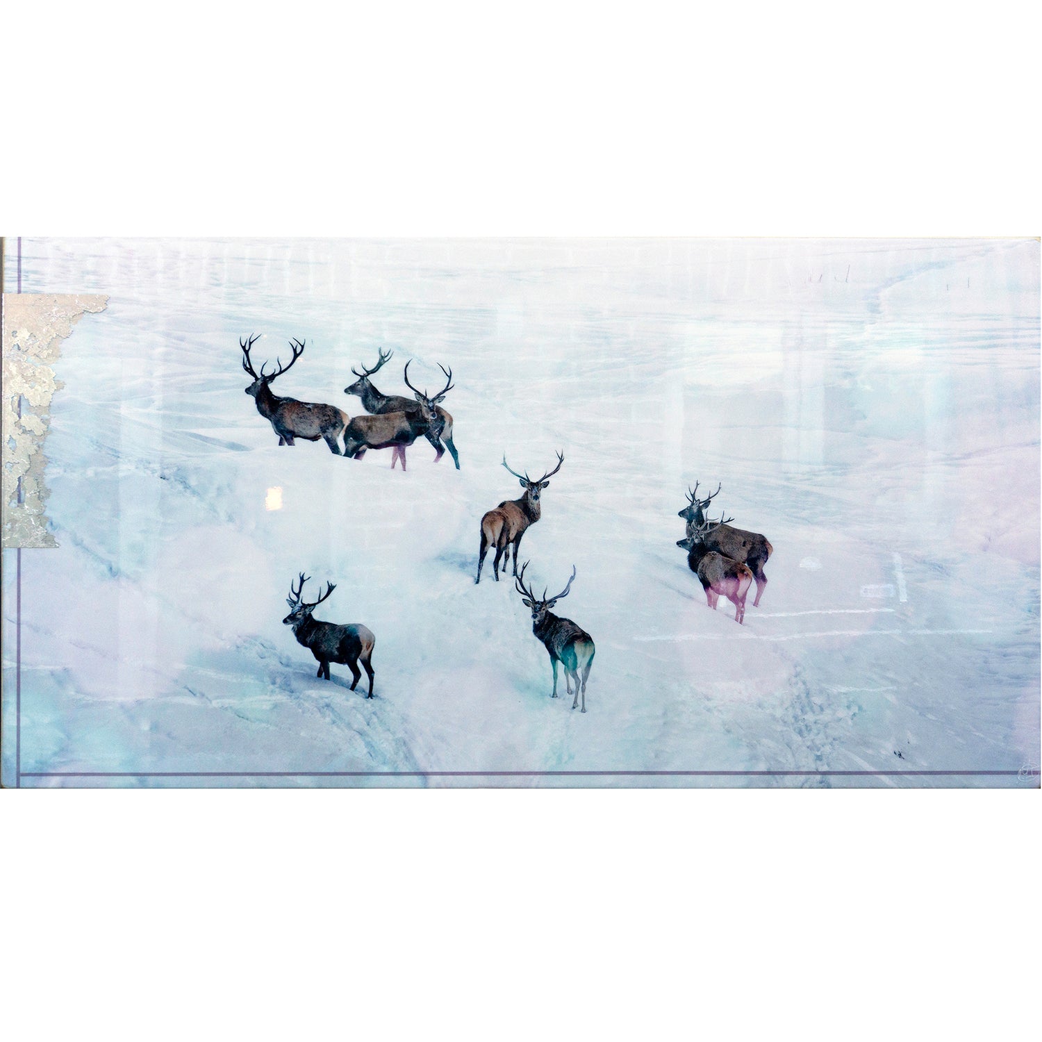 The Winter Pilgrimage 32" x 60" - Petroff Gallery -  - Morgan Jones - the winter pilgrimage 32x60