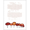 Tree's Edge - Petroff Gallery -  - 