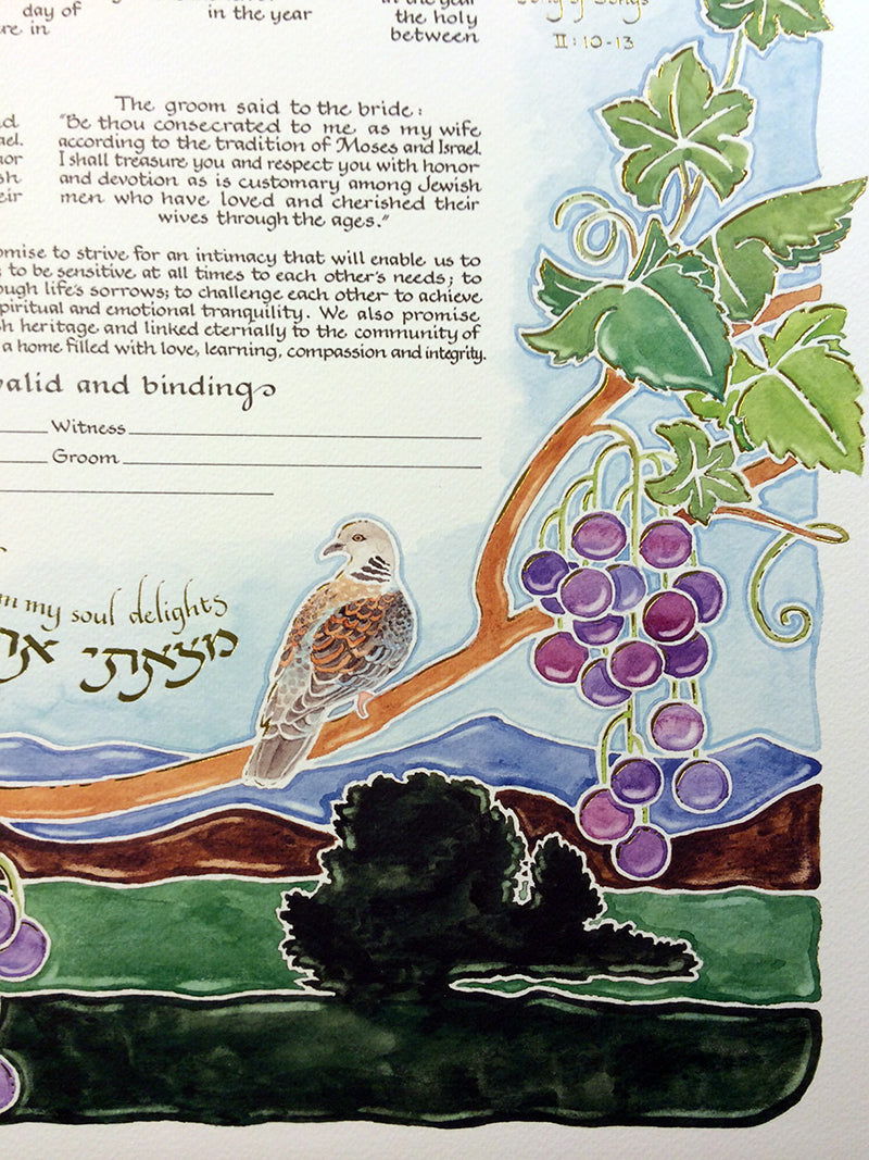 Turtledove - Petroff Gallery