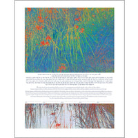 Veil of Flowers - Petroff Gallery