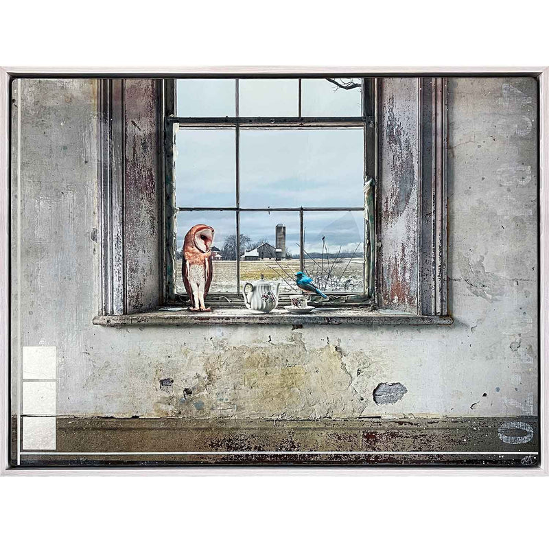 Window Dressing 36" x 48" - Petroff Gallery - Photography