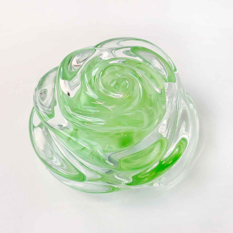 Rose Bud