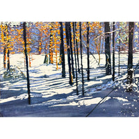Sunbright Day 2 16" x 23.5" - Petroff Gallery - Painting