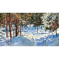 Sunlight Streaming Across A Winter Trail  17" x 30" - Petroff Gallery - Painting