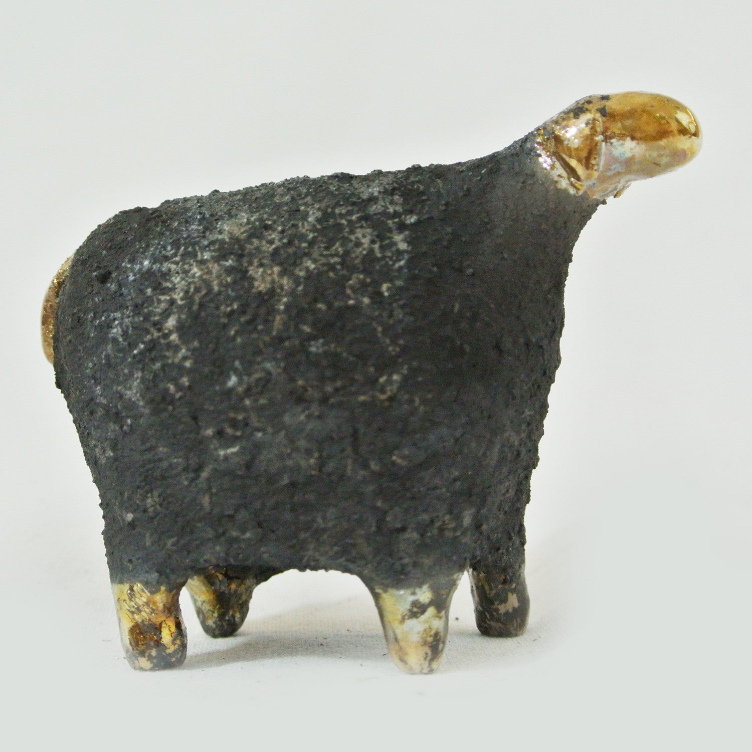Black Sheep with Gold
