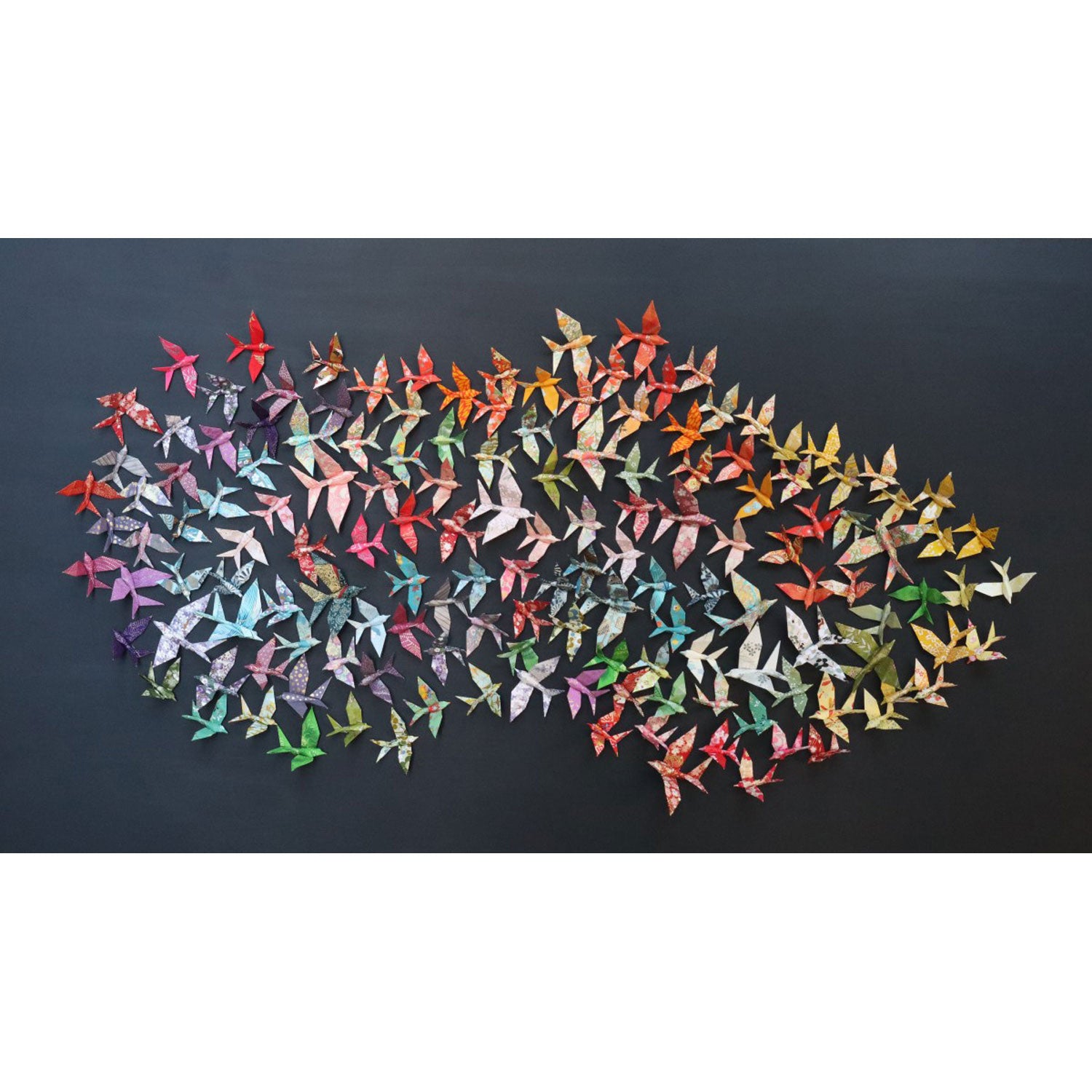 Andrew Wang - Aerial Dance, 30" x 52"